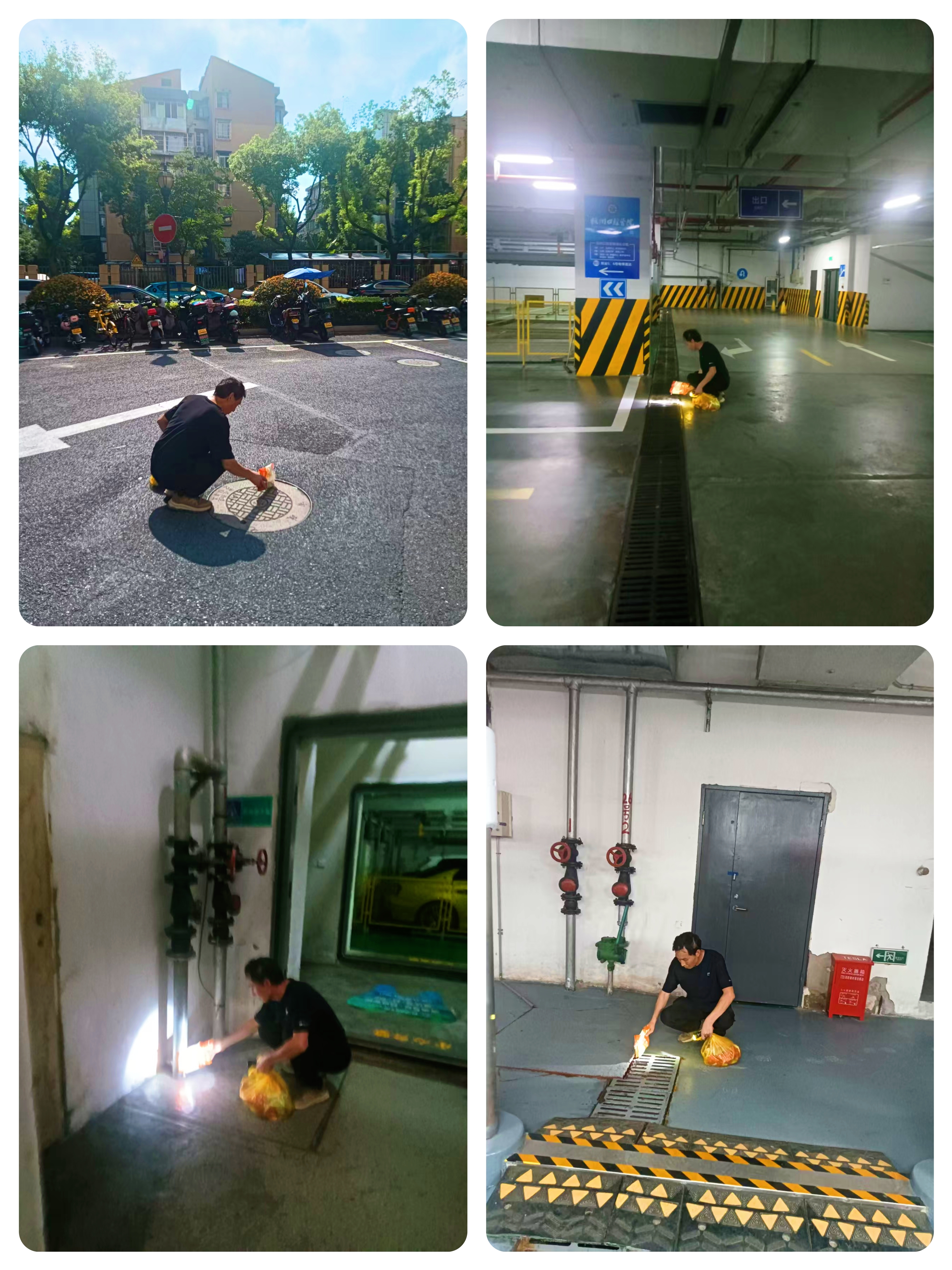 水晶城開展“清積水、除四害”專項行動 筑牢健康防線