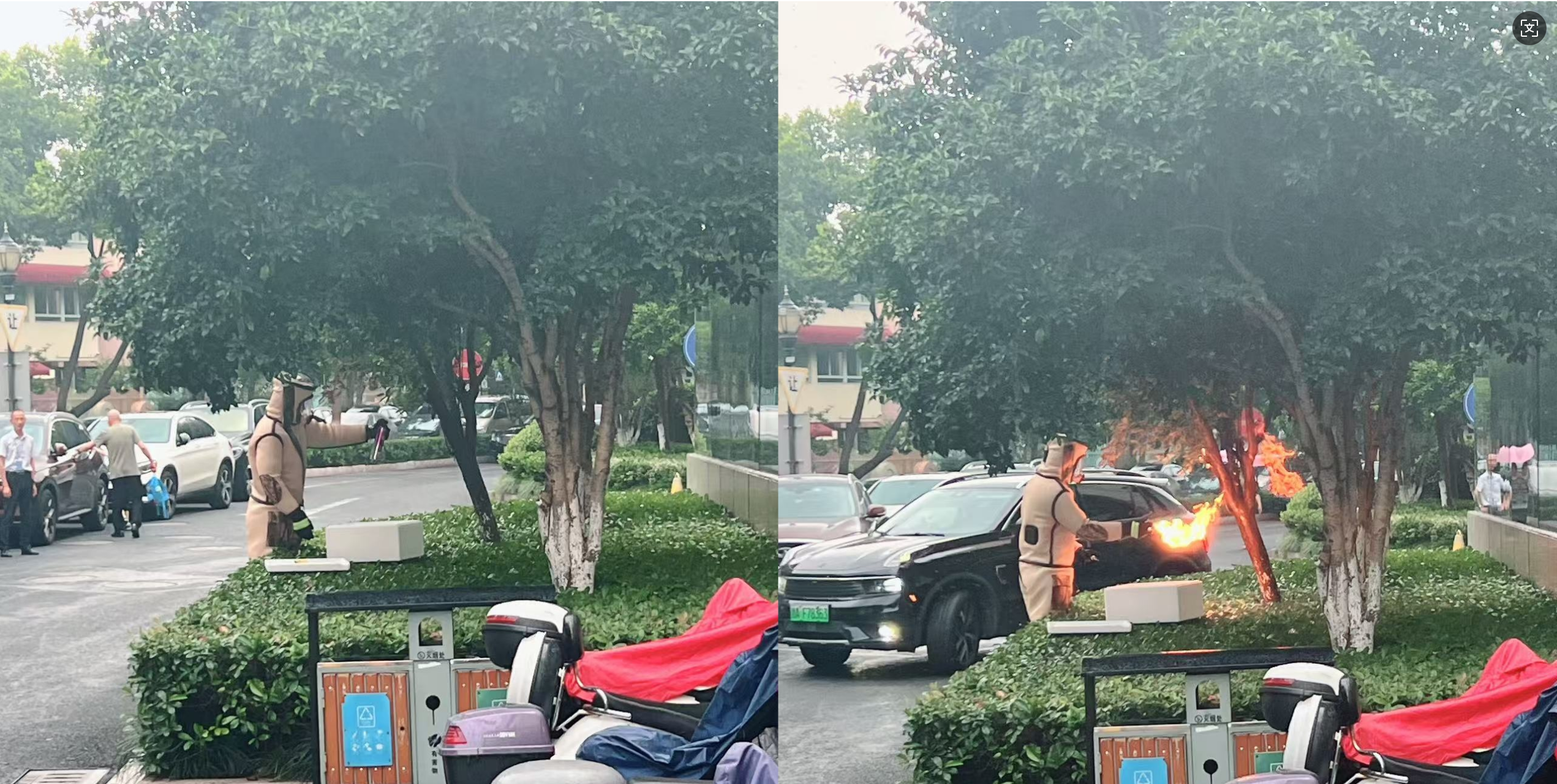 安全守護零距離,水晶城快速處置外圍蜂群隱患